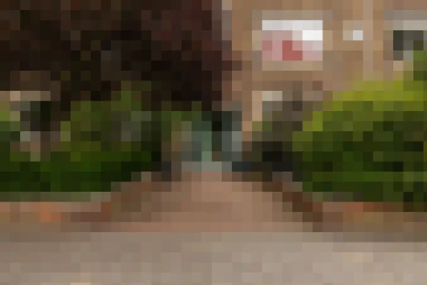 Conradkade 160 Den Haag thumbnail 33