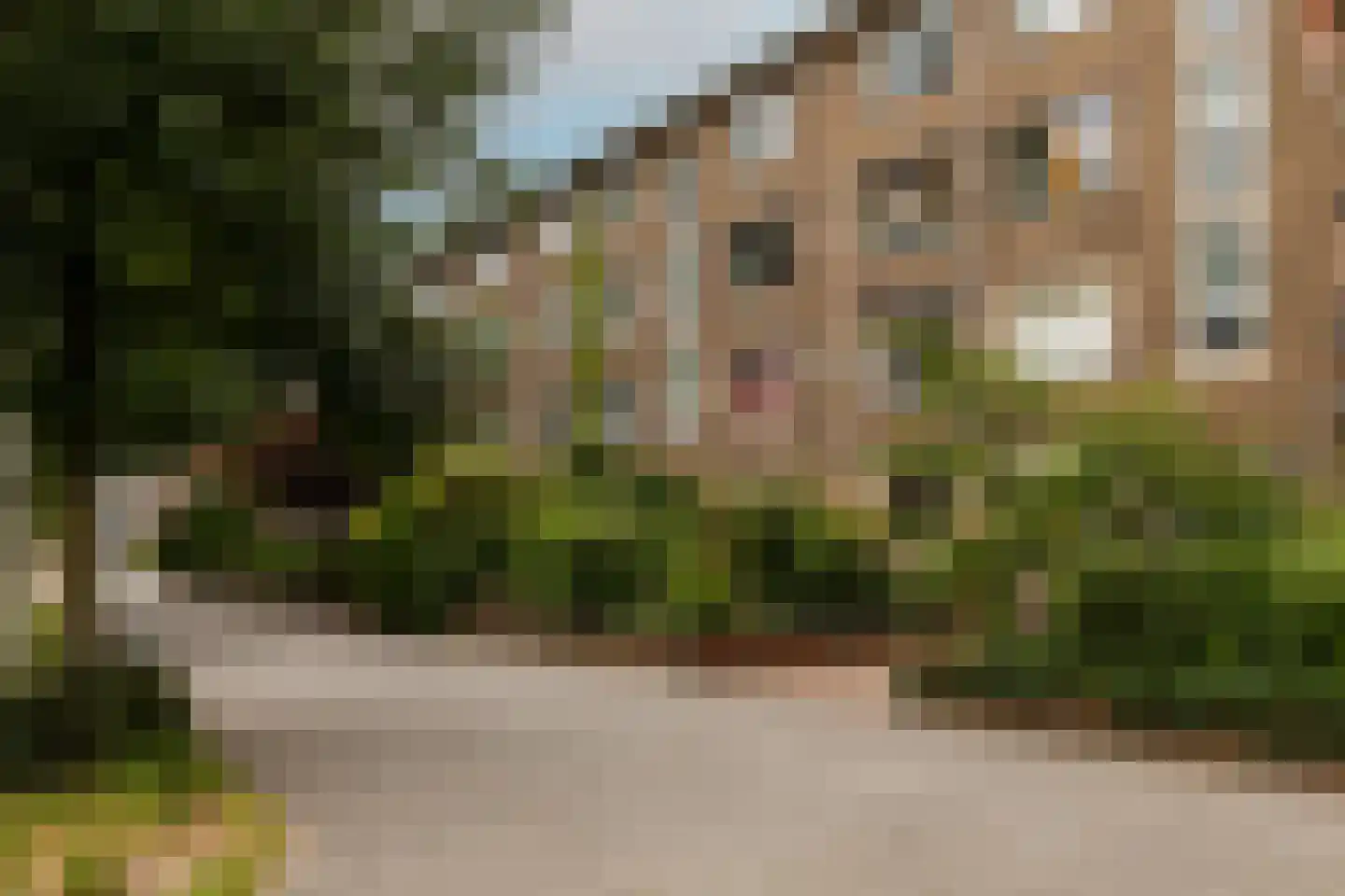 Conradkade 160 Den Haag thumbnail 35