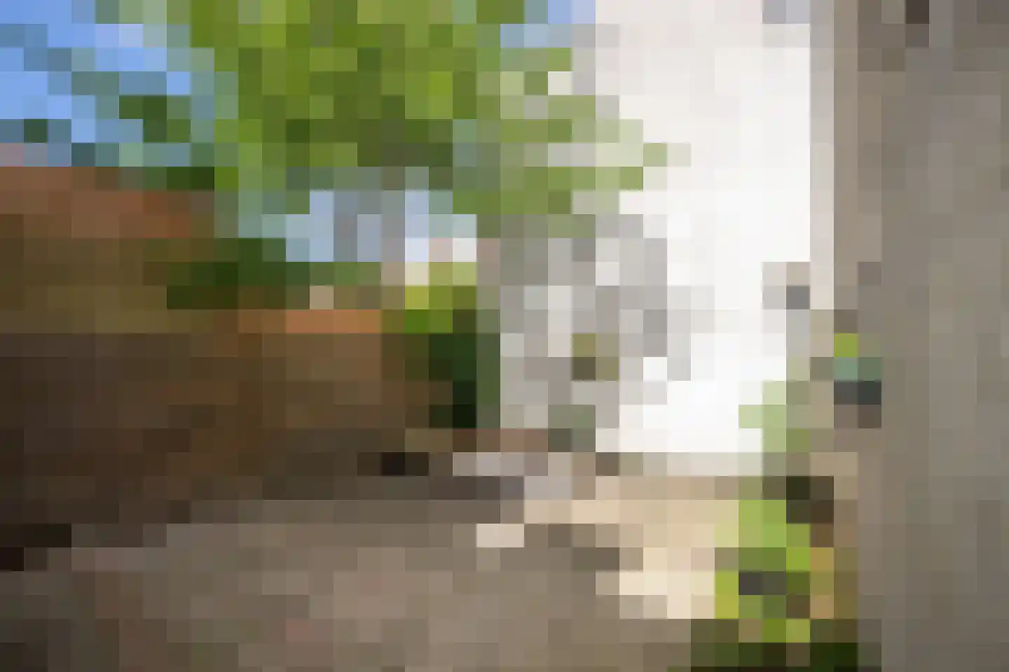 Conradkade 9 Den Haag thumbnail 24