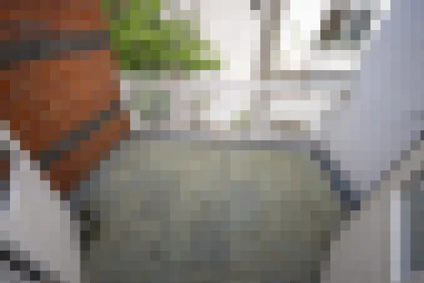 Conradkade 9 Den Haag thumbnail 37