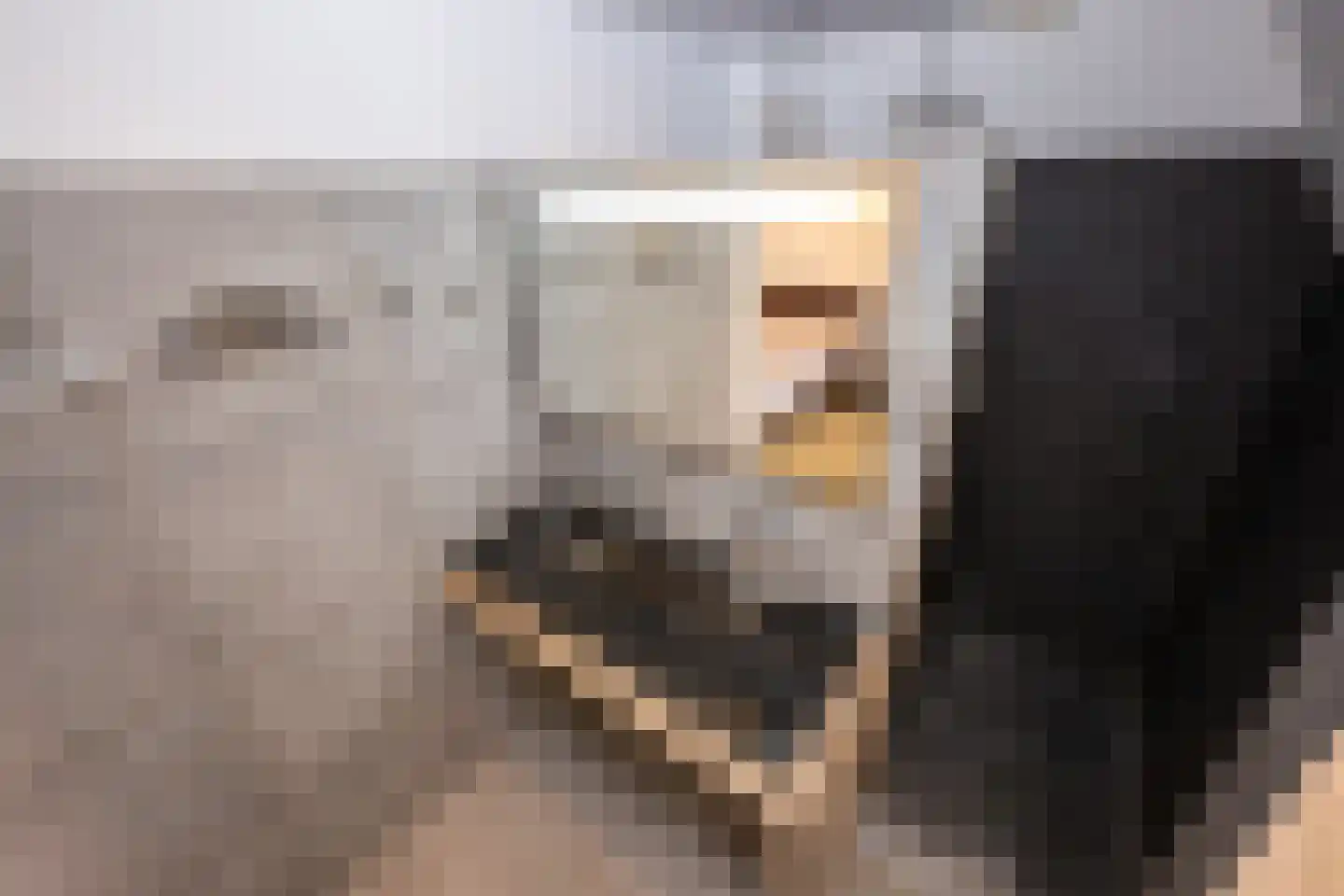 Conradkade 9 Den Haag thumbnail 58