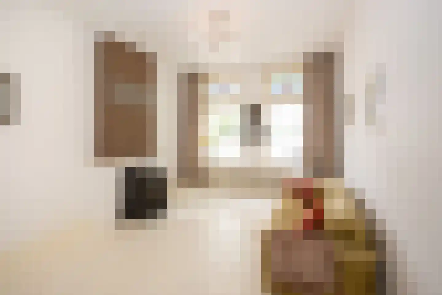 Conradkade 9 Den Haag thumbnail 9