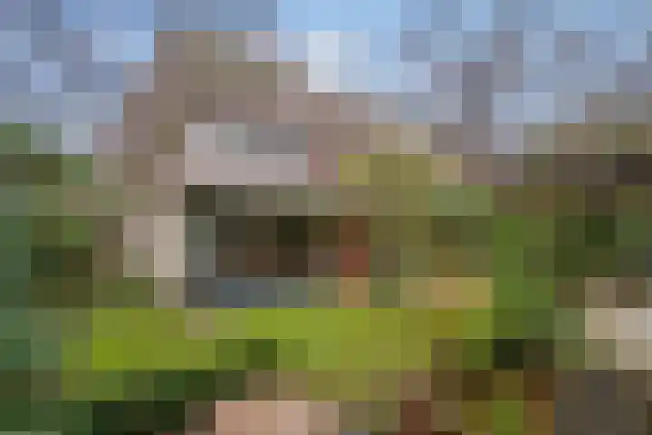 Conradlaan 37 Delft thumbnail 4