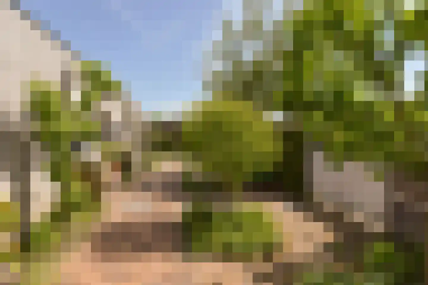 Conradpark 1 Nieuwveen thumbnail 31