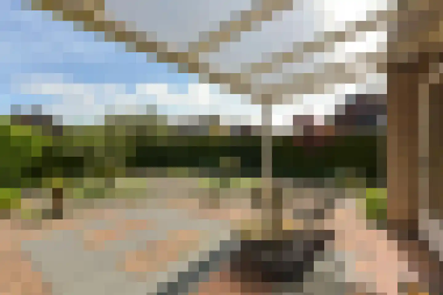 Conradpark 1 Nieuwveen thumbnail 33