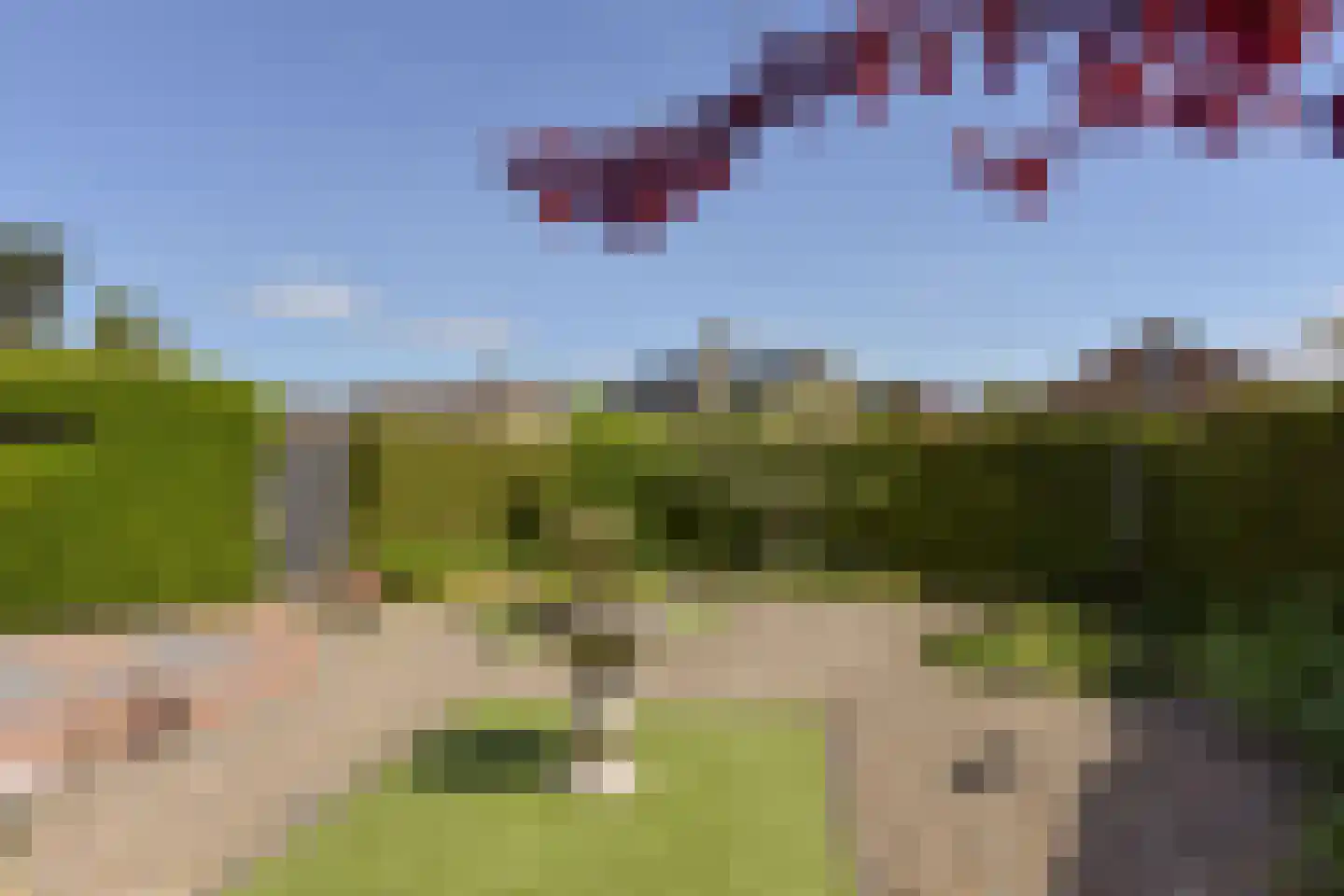 Conradpark 1 Nieuwveen thumbnail 35