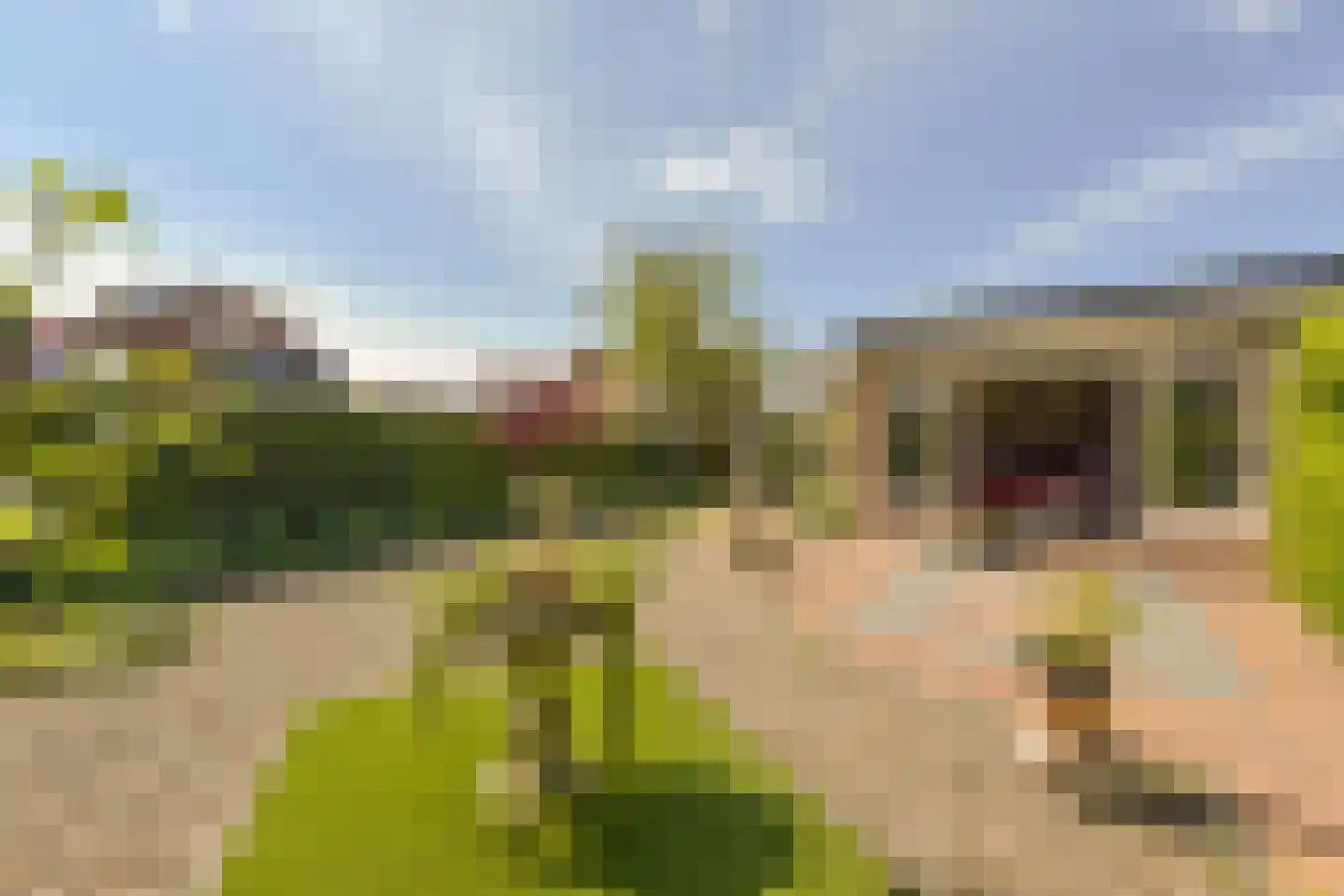 Conradpark 1 Nieuwveen thumbnail 36