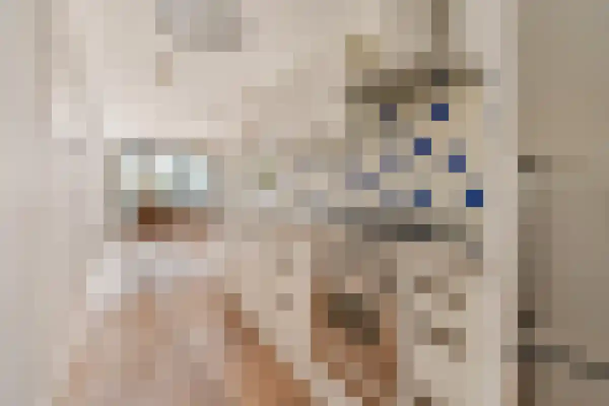 Conradstraat 132 Amsterdam thumbnail 5
