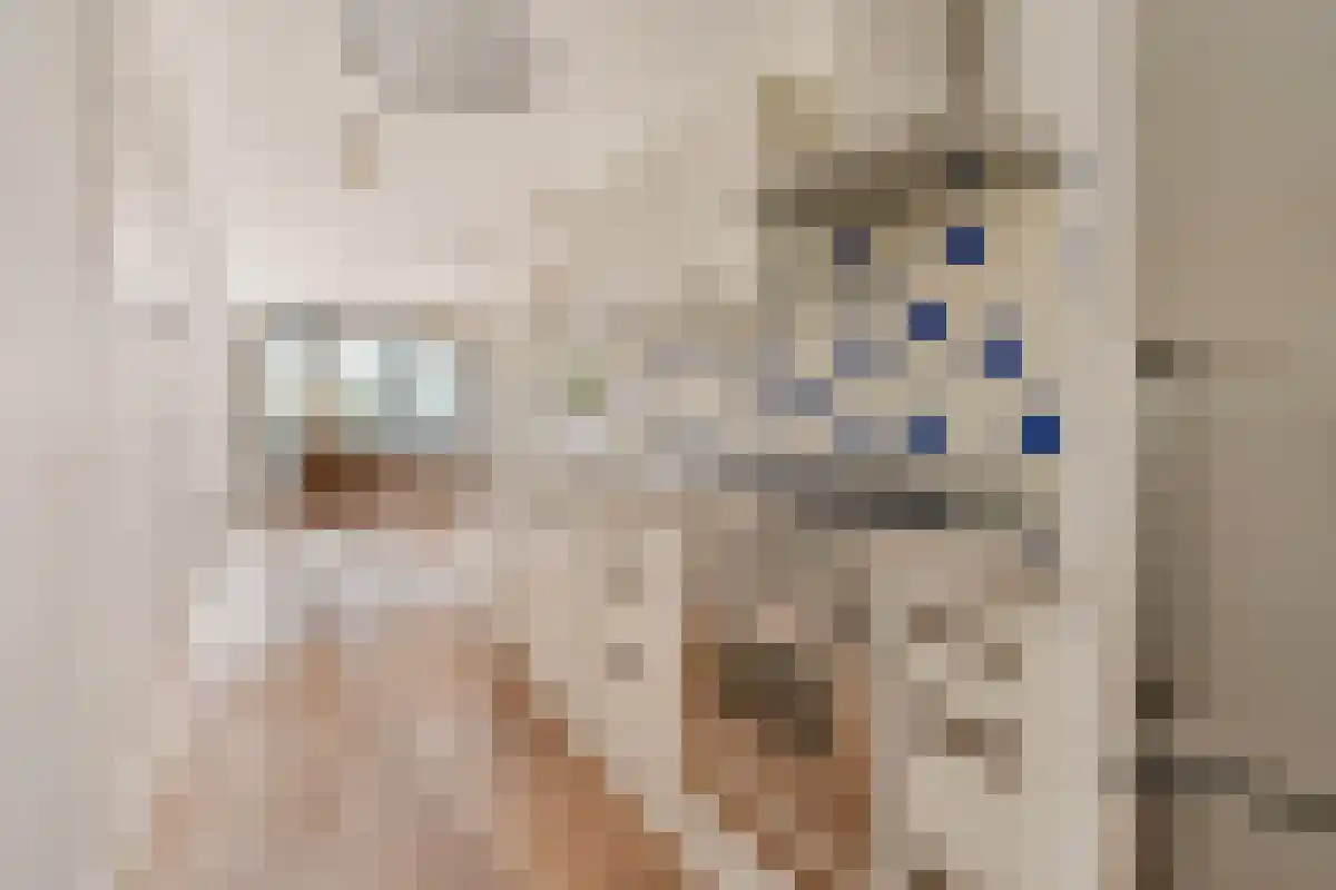 Conradstraat 132 Amsterdam thumbnail 5