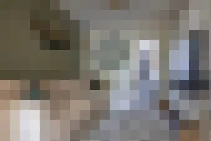 Conradstraat 17 Alphen aan den Rijn thumbnail 5