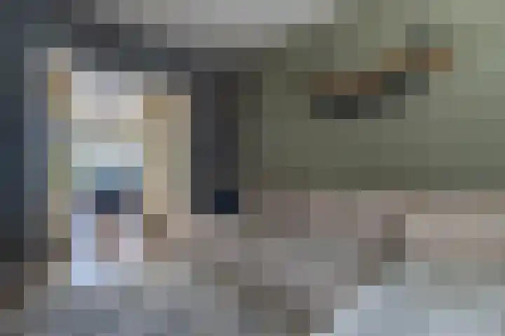 Conradstraat 17 Alphen aan den Rijn thumbnail 6