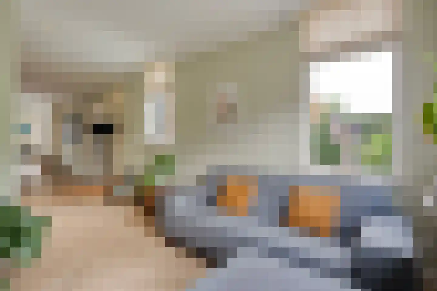 Conradstraat 22 Hengelo thumbnail 23