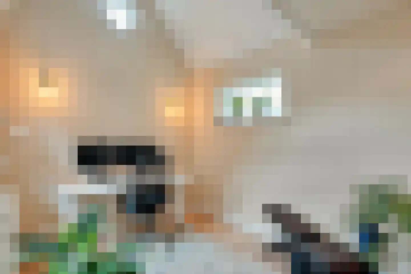 Conradstraat 22 Hengelo thumbnail 43