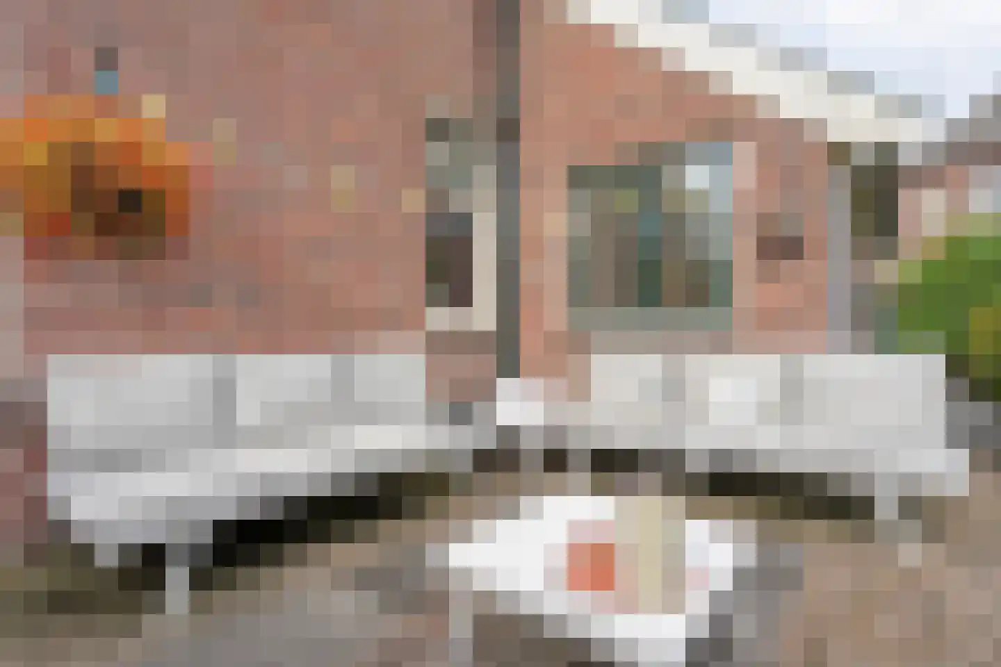 Conradstraat 22 Hengelo thumbnail 47
