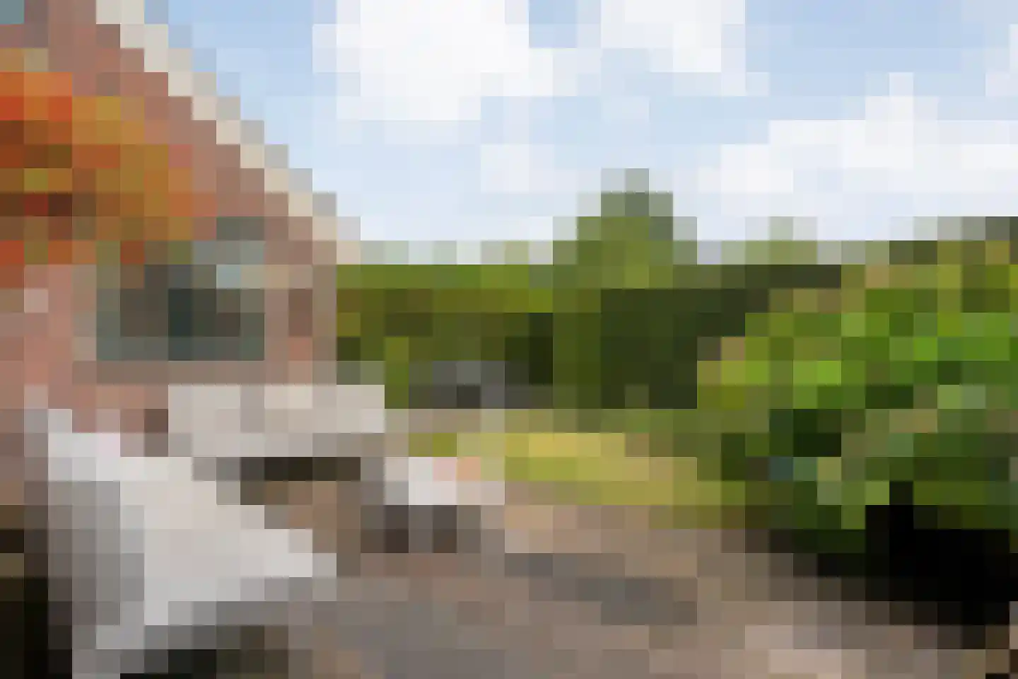 Conradstraat 22 Hengelo thumbnail 48