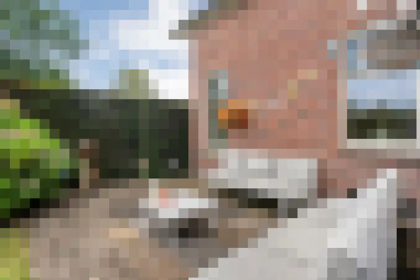 Conradstraat 22 Hengelo thumbnail 49