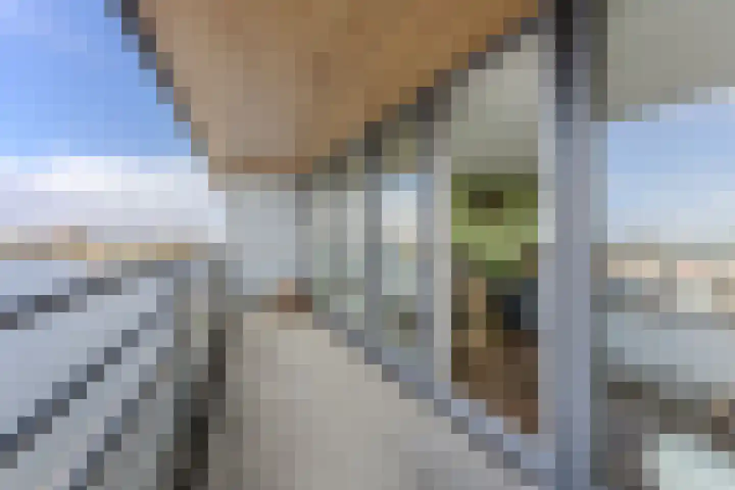 Conradwerf 126 Zaandam thumbnail 12