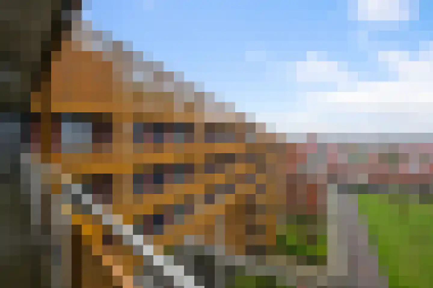 Conradwerf 126 Zaandam thumbnail 26