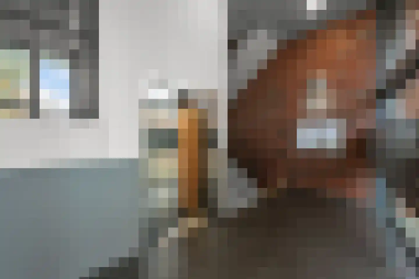 Conradwerf 126 Zaandam thumbnail 29
