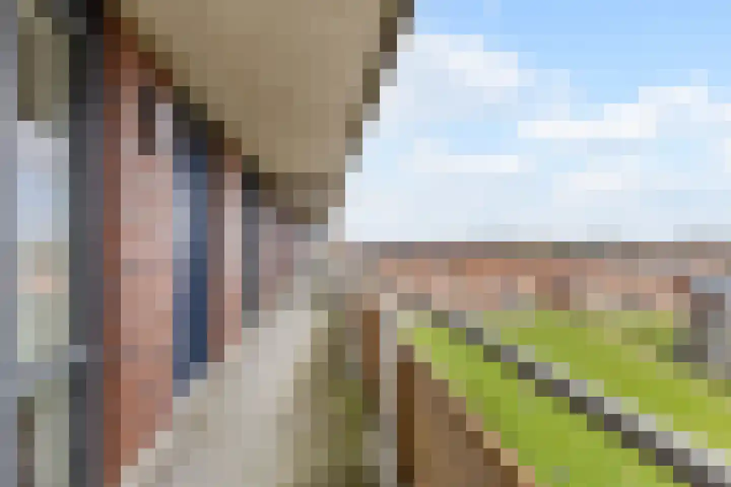 Conradwerf 126 Zaandam thumbnail 4