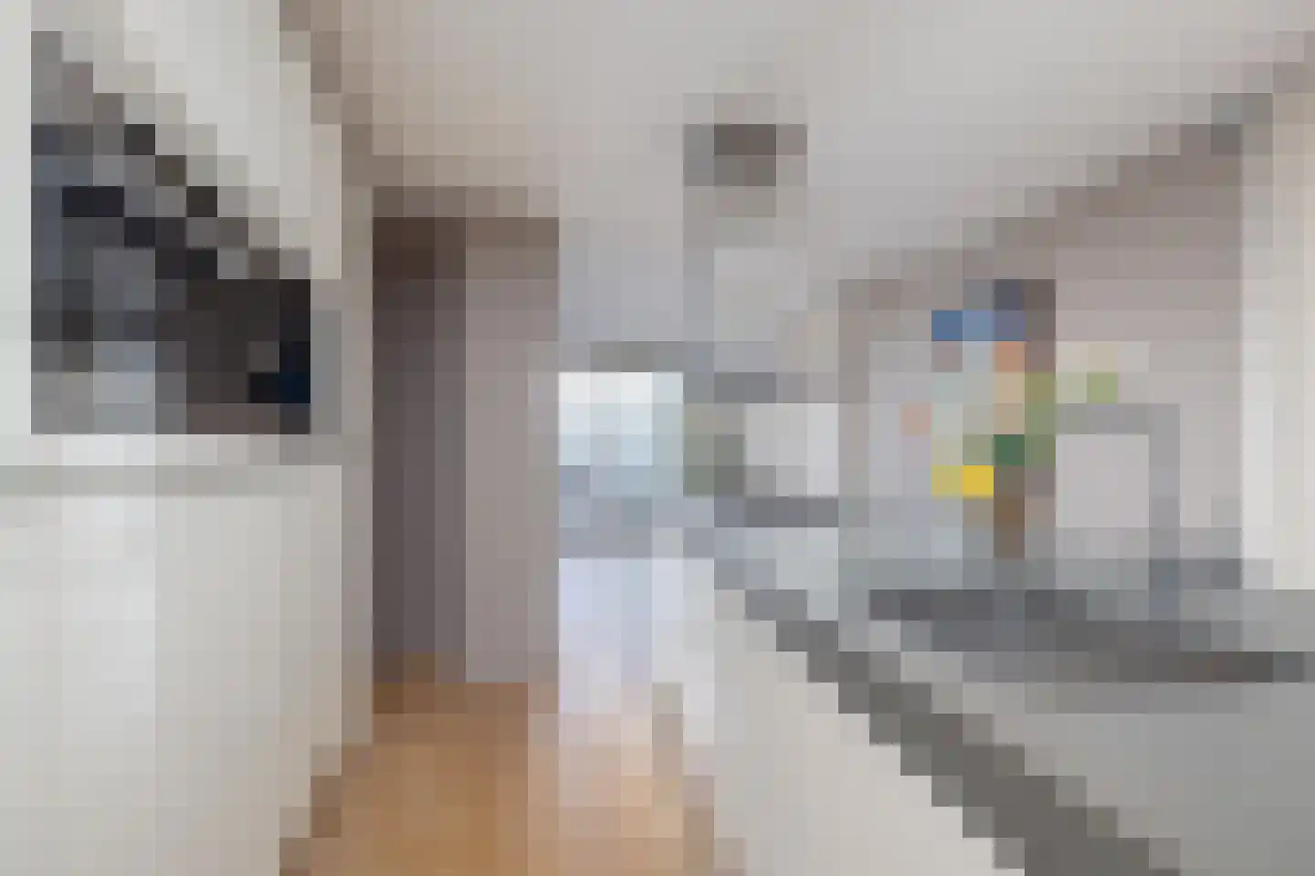 Conradwerf 128 Zaandam thumbnail 18