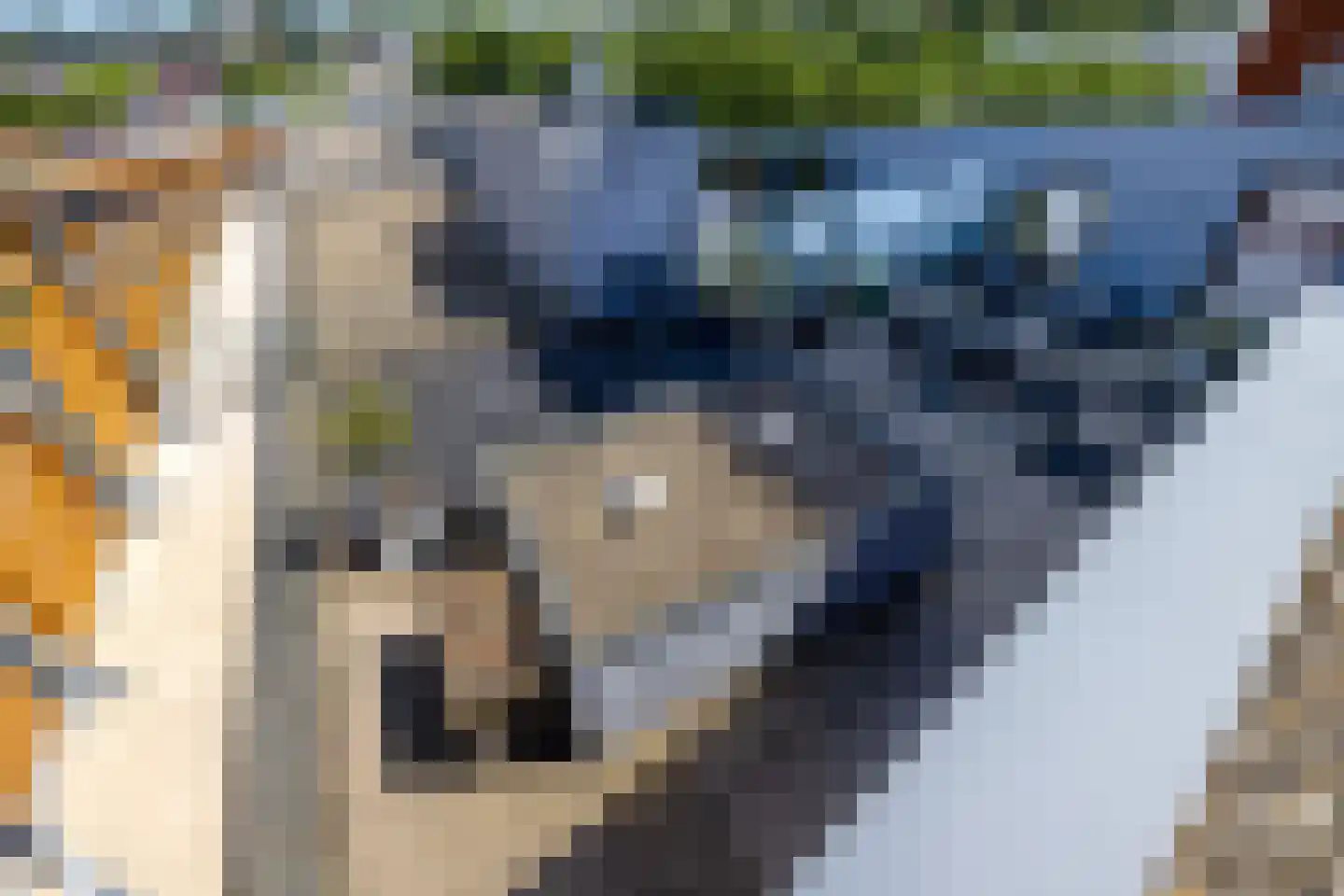 Conradwerf 128 Zaandam thumbnail 30