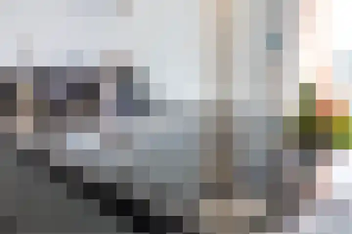 Conradwerf 185 Zaandam thumbnail 23