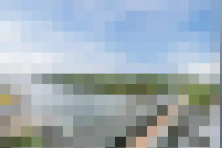 Conradwerf 185 Zaandam thumbnail 30