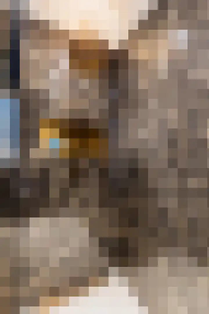 Conradwerf 185 Zaandam thumbnail 32