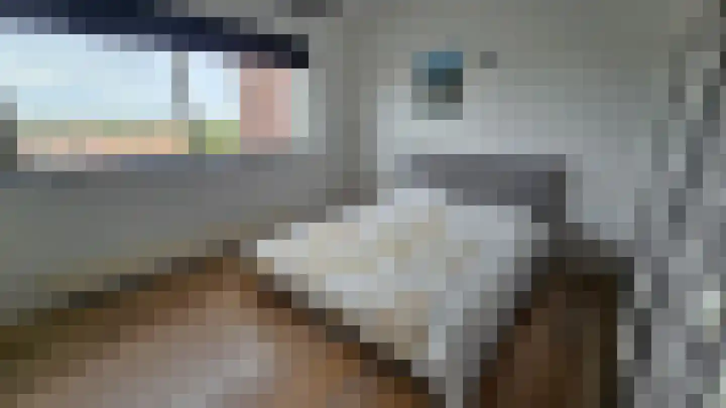 Conradwerf 191 Zaandam thumbnail 19