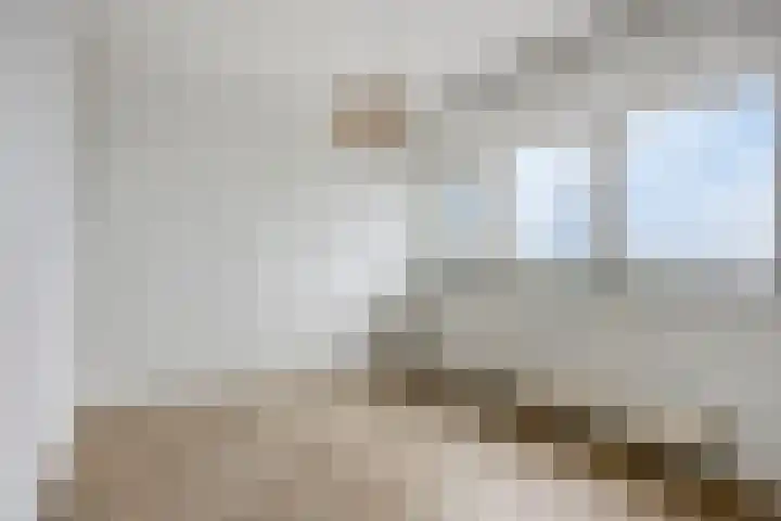 Conradwerf 193 Zaandam thumbnail 16