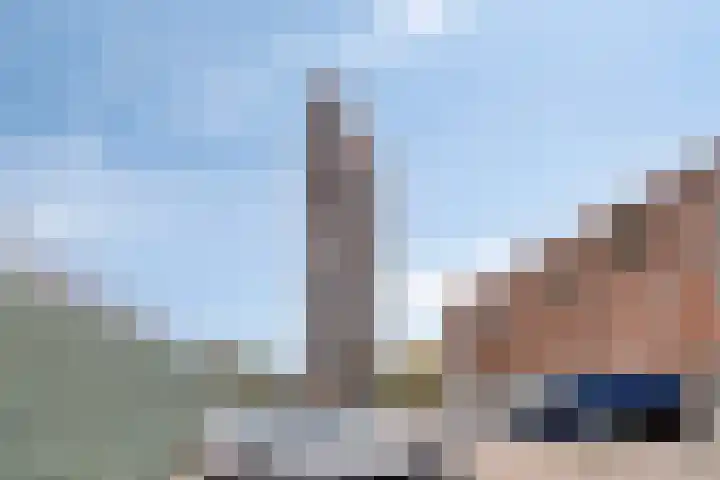 Conradwerf 193 Zaandam thumbnail 26