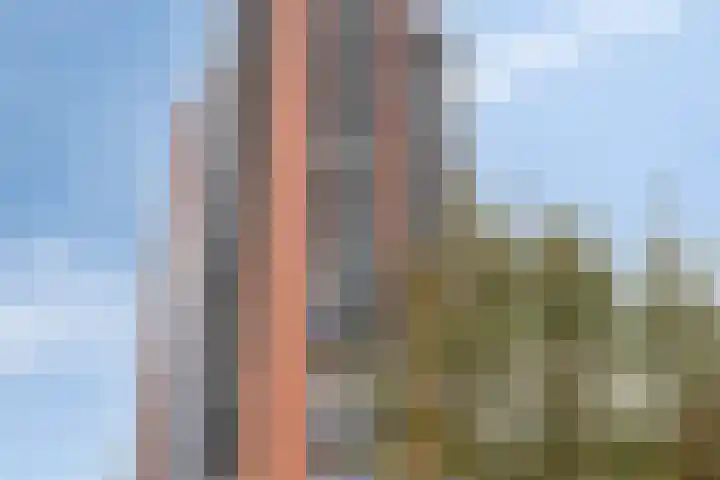 Conradwerf 193 Zaandam thumbnail 28