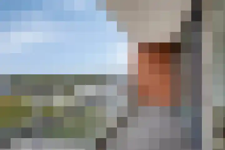 Conradwerf 193 Zaandam thumbnail 4