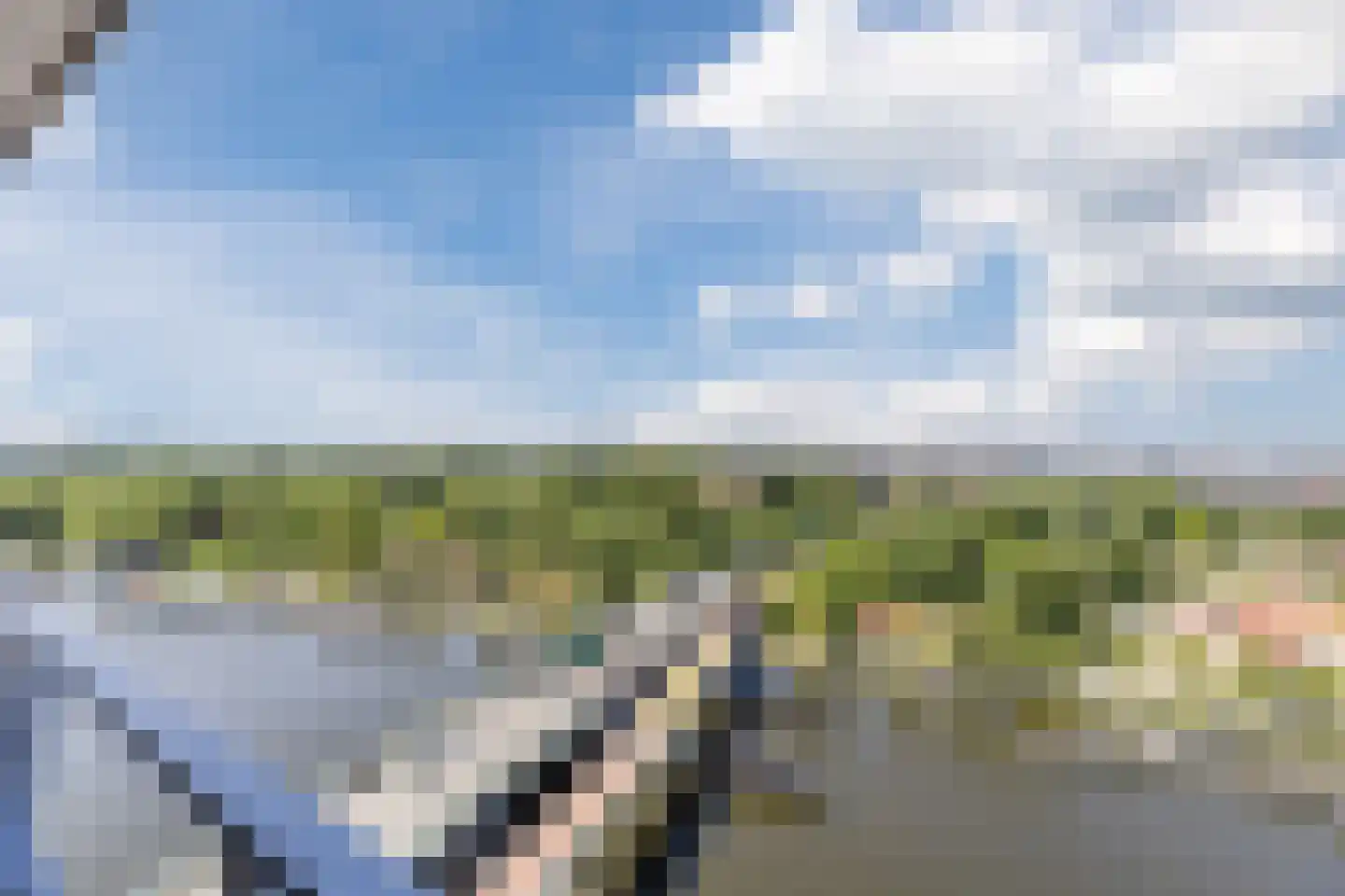 Conradwerf 207 Zaandam thumbnail 13