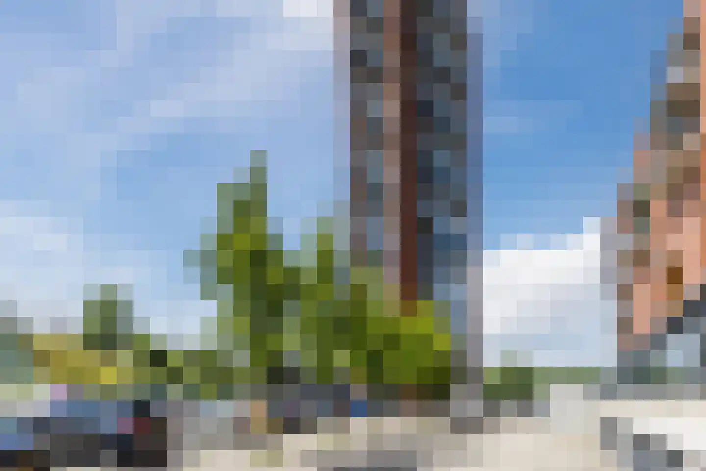 Conradwerf 207 Zaandam thumbnail 36