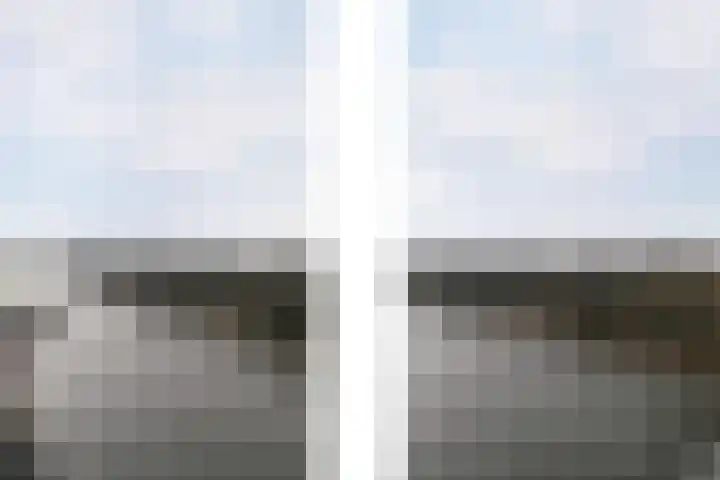 Conradwerf 228 Zaandam thumbnail 29