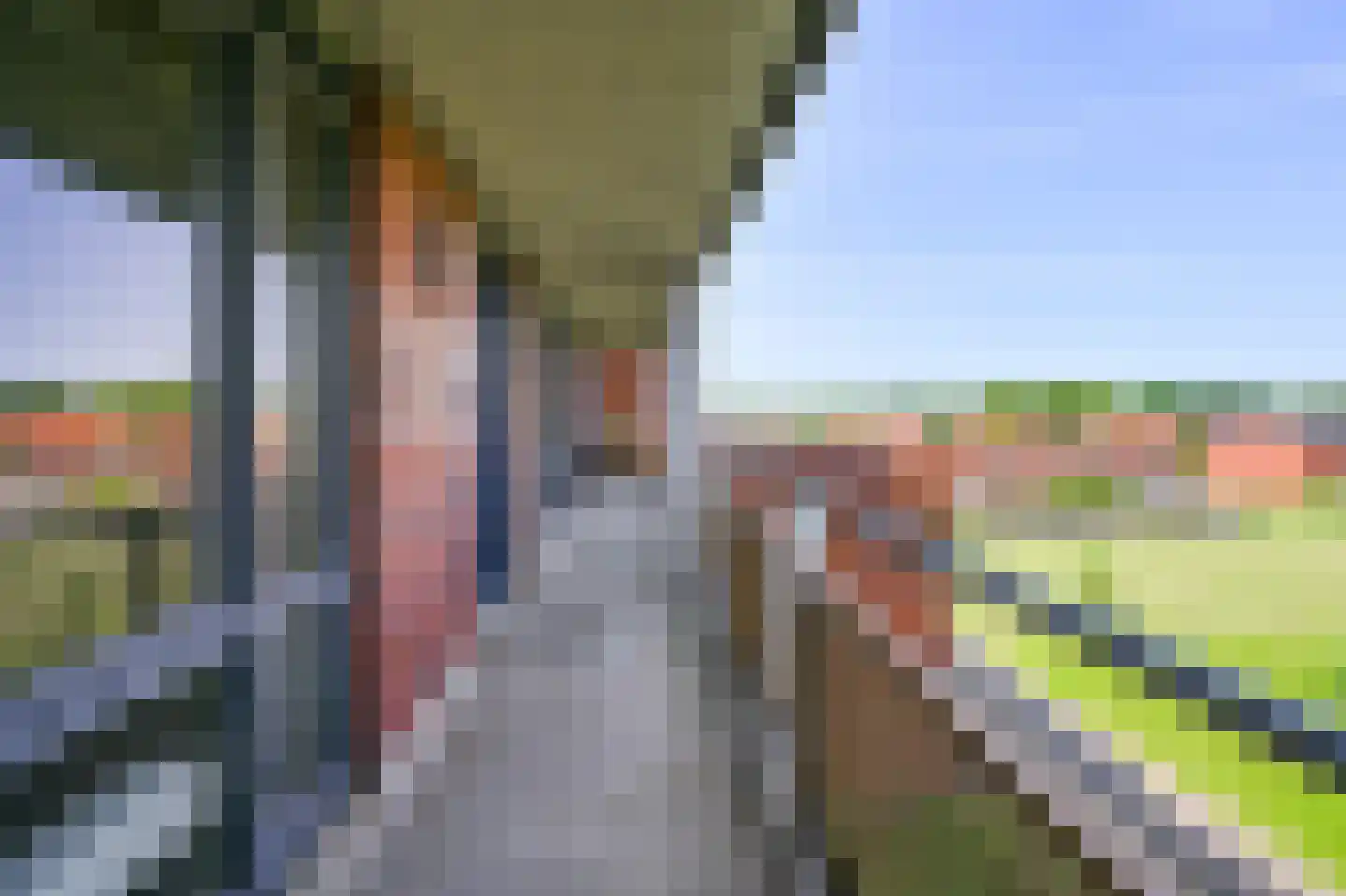 Conradwerf 69 Zaandam thumbnail 22