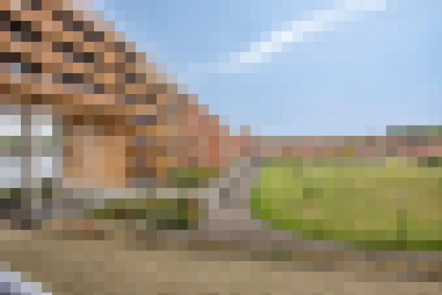 Conradwerf 88 Zaandam thumbnail 23