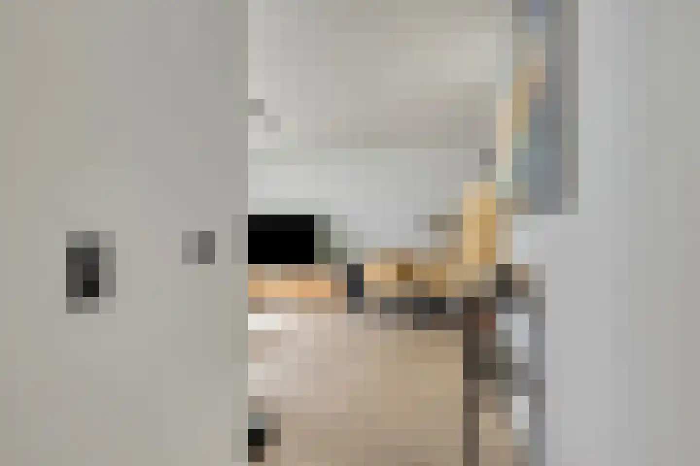 Consciëntieplein 4 Leiden thumbnail 4