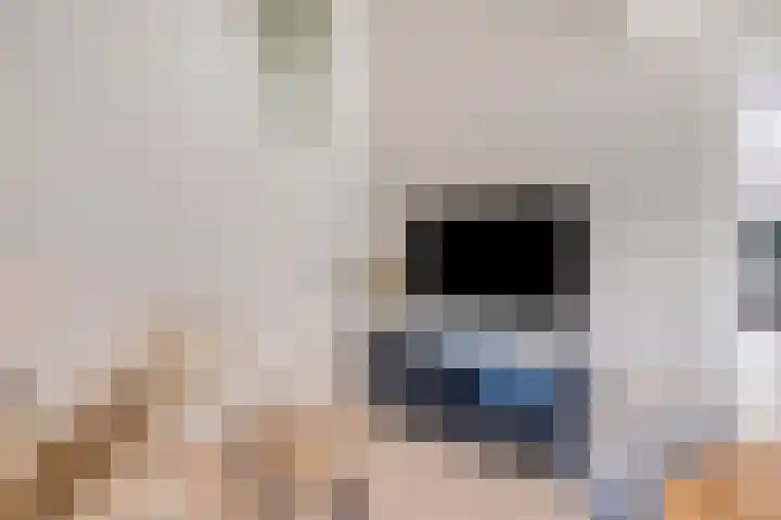 Conservatoriumlaan 159 Tilburg thumbnail 18