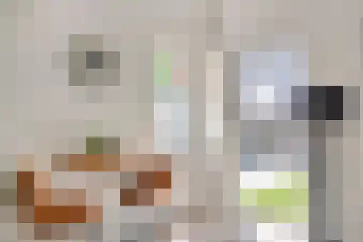 Conservatoriumlaan 159 Tilburg thumbnail 22