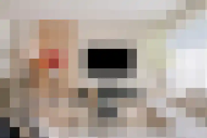 Conservatoriumlaan 159 Tilburg thumbnail 4