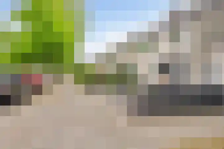 Conservatoriumlaan 159 Tilburg thumbnail 48