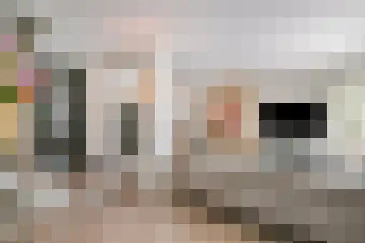 Conservatoriumlaan 159 Tilburg thumbnail 5