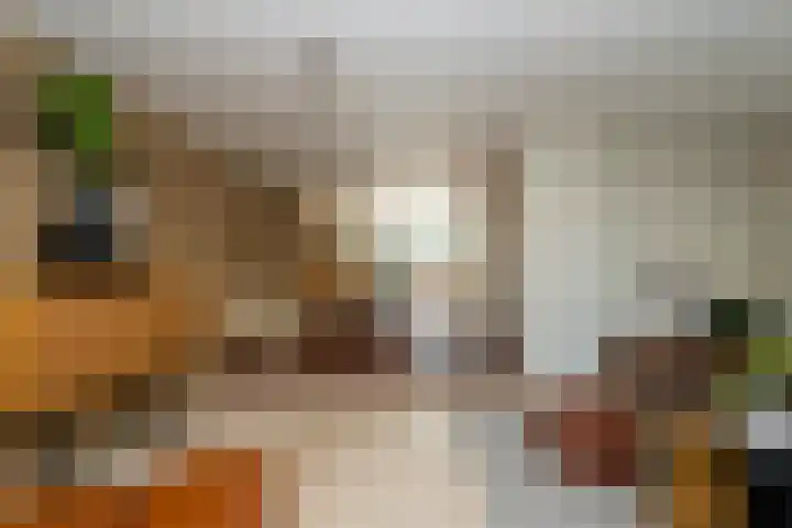 Conservatoriumlaan 173 Tilburg thumbnail 15