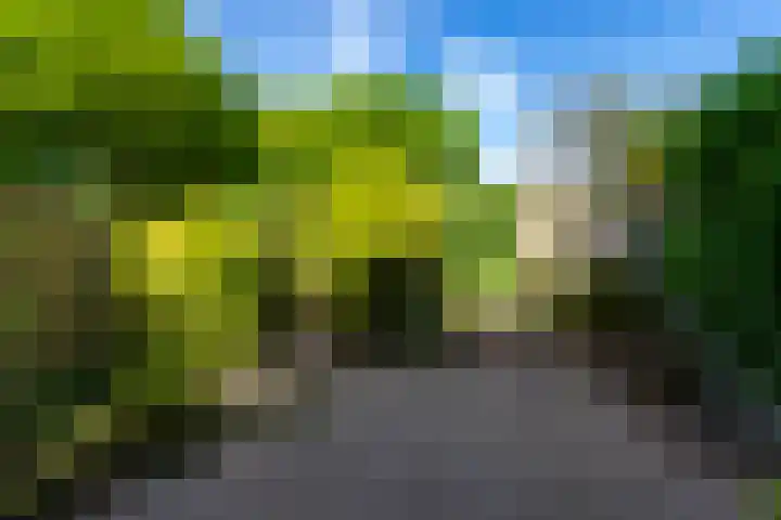 Conservatoriumlaan 173 Tilburg thumbnail 32