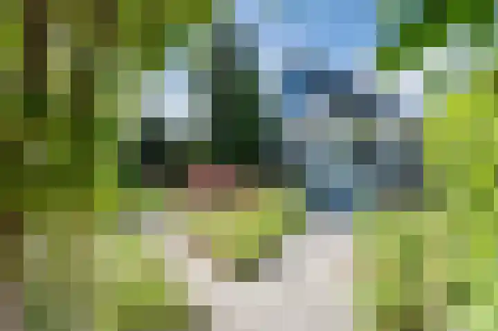 Console 4 Beuningen Gld thumbnail 45