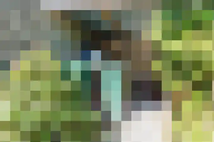 Console 4 Beuningen Gld thumbnail 47