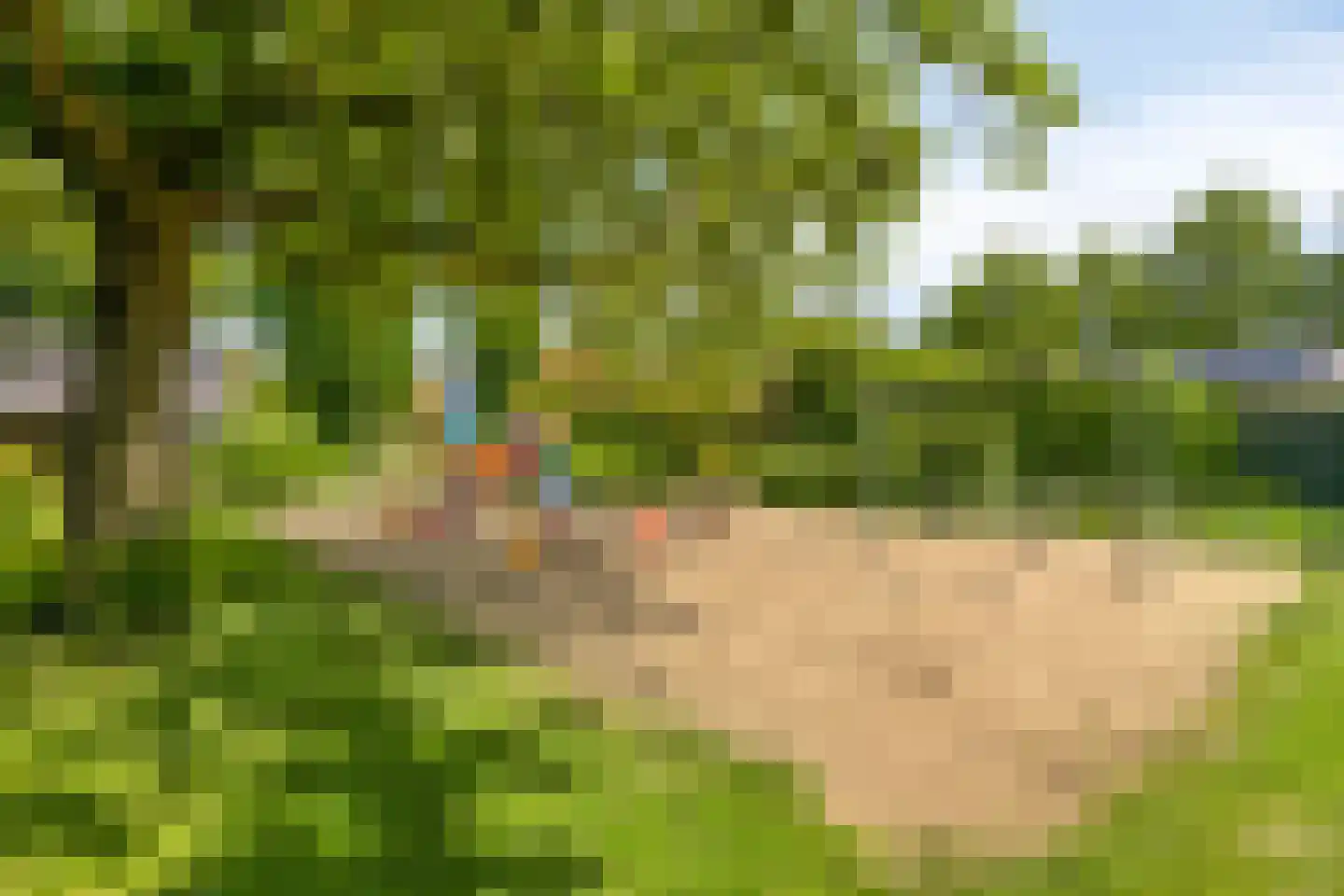 Console 7 Beuningen Gld thumbnail 35